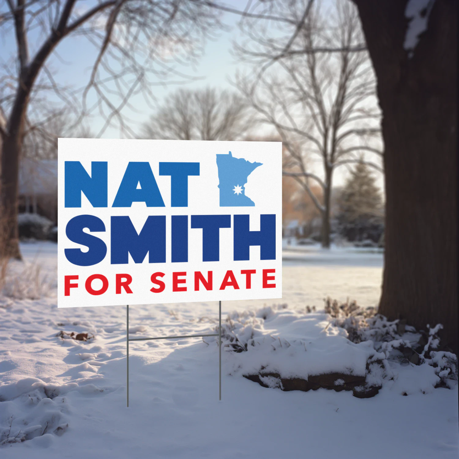 Nat Smith for US Senate Yard Sign 2